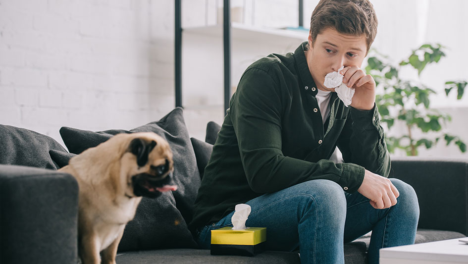 Getting an air purifier is one of the top approaches to boost your residence’s indoor air quality. Discover more about the three top options. 